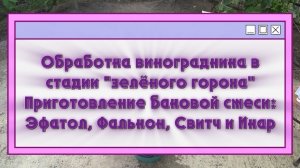 Обработка винограда в стадии «зелёного гороха». Приготовление баковой смеси: Эфатол, Фалькон, Свитч