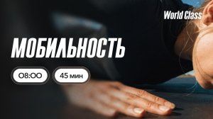МОБИЛЬНОСТЬ с Альбертом Даниловым |24 июня 2026 | Онлайн-тренировки World Class