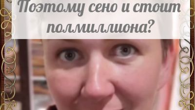 На все деньги нашлись, а вот на сено никак не соберут смотреть онлайн