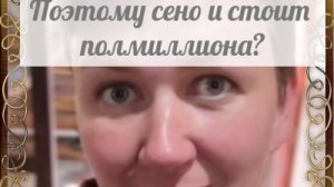 На все деньги нашлись, а вот на сено никак не соберут