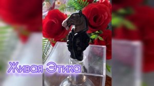 С Днем медика!
#ЖиваяЭтика #JivayaEtica