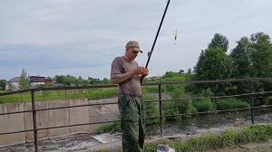 КАРАСЬ НА КРЮЧКЕ