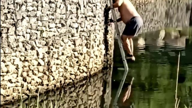 Мужчина спасает запутавшую утку