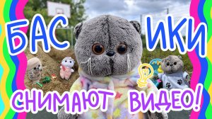 КОТЫ БАСИКИ СНИМАЮТ ВИДЕО