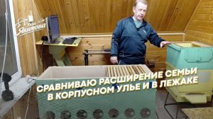 Расширение семьи в корпусном улье и в лежаке — почему это не одно и то же
