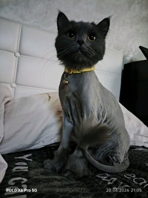 моё утро