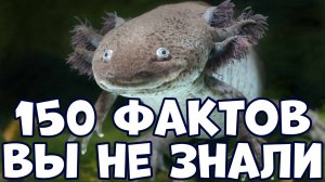 150 МАЛОИЗВЕСТНЫХ ФАКТОВ, КОТОРЫЕ ВЫ ДАЖЕ НЕ ЗНАЛИ