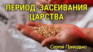 Период засеивания Царства 🌾