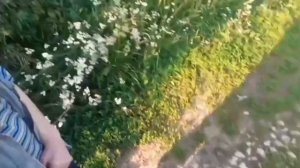 Жизнь после инсульта.Поехали за водой на родник.