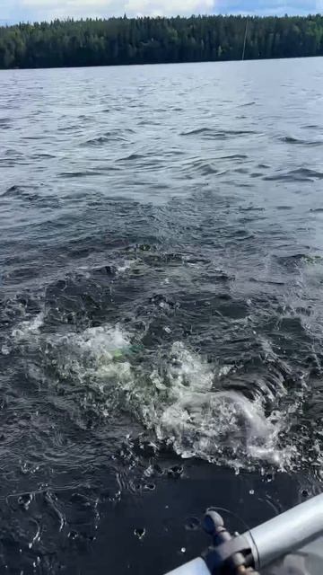 РЫБАЛКА С ДЕВУШКОЙ 🎣🫨🐟