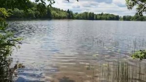 Кўл бўйида 50 соток + 9 гектар, Табиат, Чорва, Деҳқончилик, Дача, ИЖС, ЛПХ