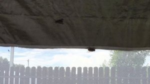Моя Жизнь в Деревне🤨 Глупо, Чтобы было.22-06-2026
