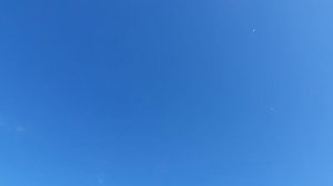 22.06.26 г. Андижанская порода голубей (2)
