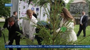 На Поклонной горе посадили дерево в честь военкора Анны Прокофьевой.