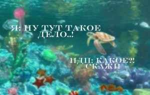 ну наверное это тупо. !!в опис там ссылка на мой мах канал!! давайте добьём 400 пдп!?