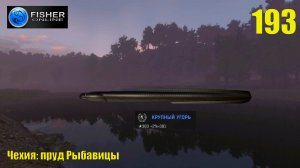 #193 Чехия: пруд Рыбавицы ч.10 Путь к серебру: где и как ловить угря? Прохождение Fisher Online