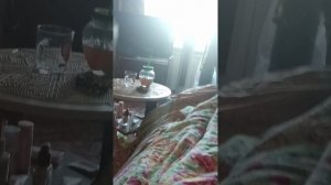 VID_20260612_113021.mp4