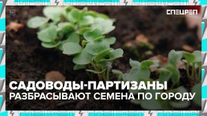 Партизанское садоводство: для чего озеленяют город | Общественные огороды | Спецреп