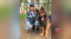 Наша служба и опасна, и трудна… День кинолога отметили в России