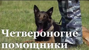 В ЛНР отметили День кинолога МВД