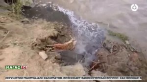 В реке Сунжа выявлены серьёзные нарушения: сброс неочищенных канализационных стоков в водоём