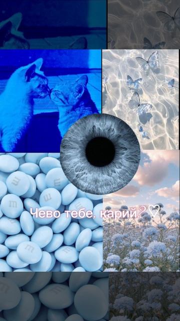 Моя лп😘(лера)