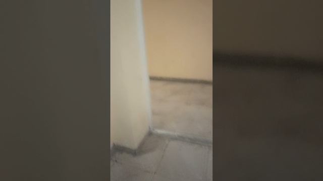 1000313778.mp4 смотреть онлайн