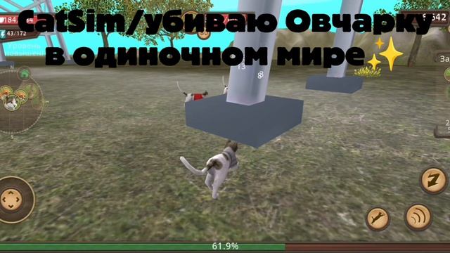 ⚡|CatSim|Убиваем Овчарку|✨