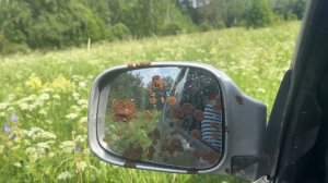 Поиск нового палаточного места на реке.