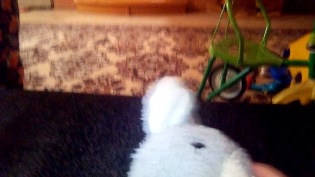 VID_20250105_115004.mp4