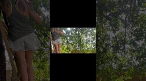 Повешать шатер на дерево не повредив себя и дерево