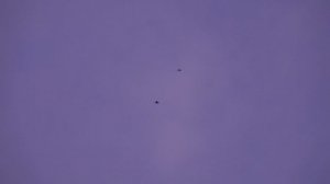 Хронология одного гона