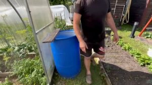 Срезали стрелки чеснока/Куда их используем/20.06.2026