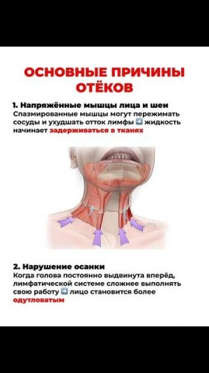 https://t.me/fitstyler_bot?start=vksheya