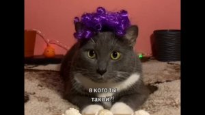 kotiynet RYTP