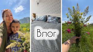 Неудачное приобретение / Присосался, как клещ! / Танцевальное детство/ Что с собаками?