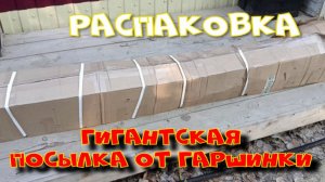 САЖЕНЦЫ ИЗ ГАРШИНКИ. ПОСЫЛИЩЕ... РАСПАКОВКА