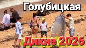 Лучший - Дикий пляж на Азовском море! #Голубицкая 2026 Тайное место перед Крымским мостом