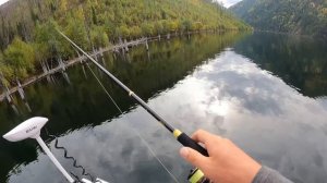 Встретили МЕДВЕДЯ (!!!) На рыбалке в самом КРАСИВОМ МЕСТЕ. Саяны, серия 2