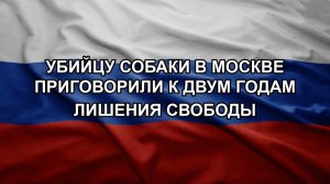 Убийцу собаки в Москве приговорили к двум годам лишения свободы