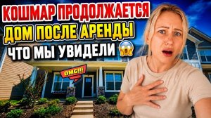 Лиса в Америке. Переезд⧸ КОШМАР продолжается⧸ Мы были в шоке!⧸ Что мы увидели？🤯⧸Южная Каролина⧸Лиса