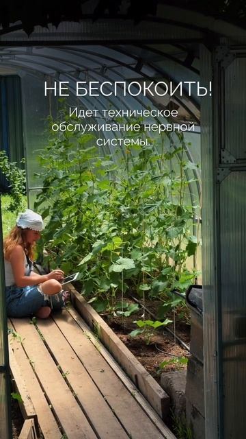 Каждый день рисую кусочек своей жизни смотреть онлайн
