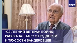 102-летний ветеран войны в интервью ТАСС рассказал о подлости и трусости бандеровцев