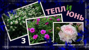 Теплюнь. Швейная неделя и ответ на вопрос. #вязание #handmade