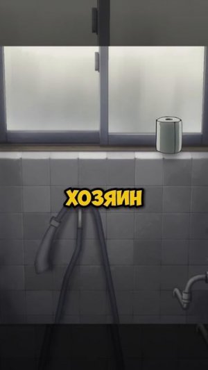 ШИНОБИ МОЖЕТ ВСЁ