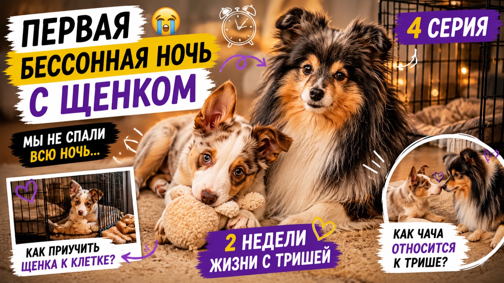 Первая бессонная ночь со щенком 😭 | Как приучить щенка к клетке? 4 влог