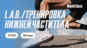 ТРЕНИРОВКА НИЖНЕЙ ЧАСТИ ТЕЛА с Олегом Красиным | 22 июня 2026 | Онлайн-тренировки World Class