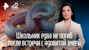 Россиян предостерегли от самолечения после укусов ядовитых змей и клещей