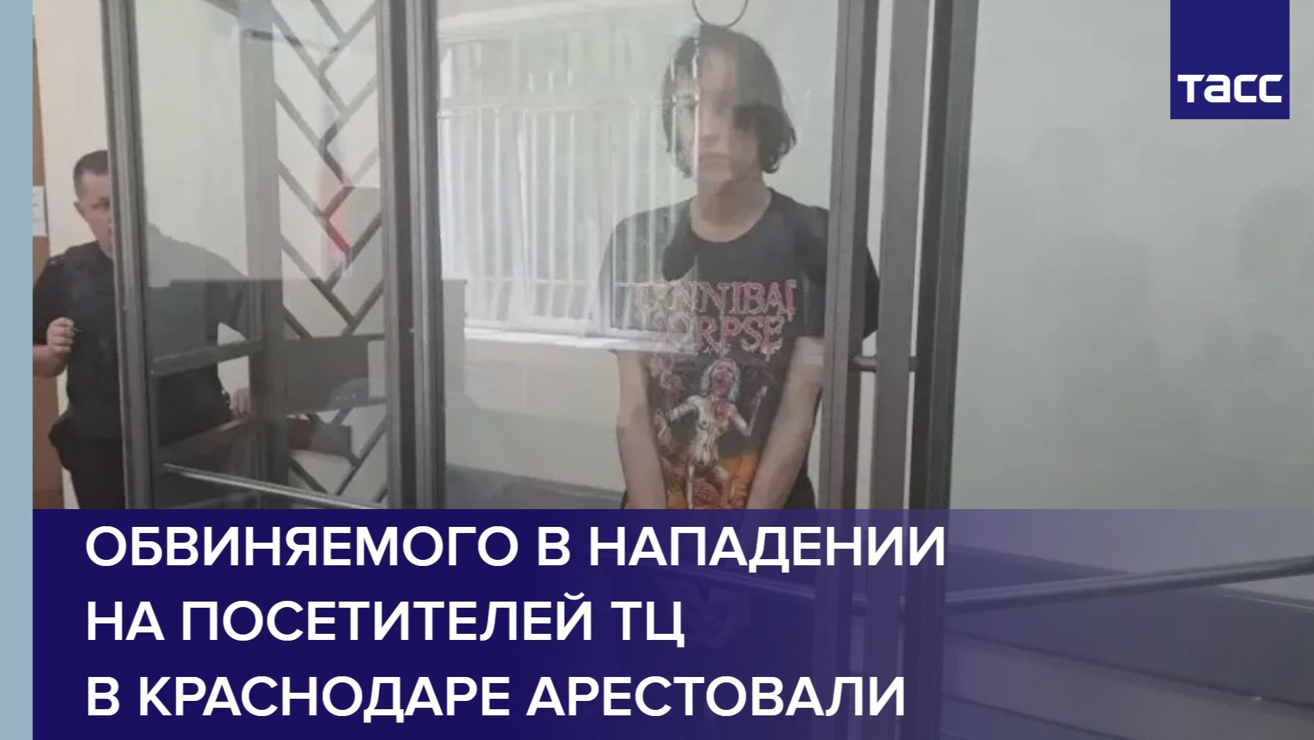 Обвиняемого в нападении на посетителей ТЦ в Краснодаре арестовали смотреть онлайн