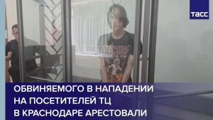 Обвиняемого в нападении на посетителей ТЦ в Краснодаре арестовали